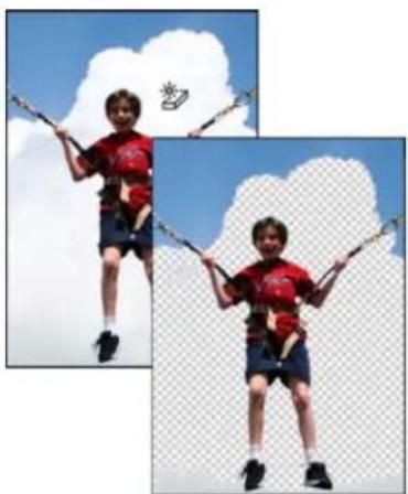ADOBE Photoshop Elements 12 - Use the Magic Eraser tool - 1