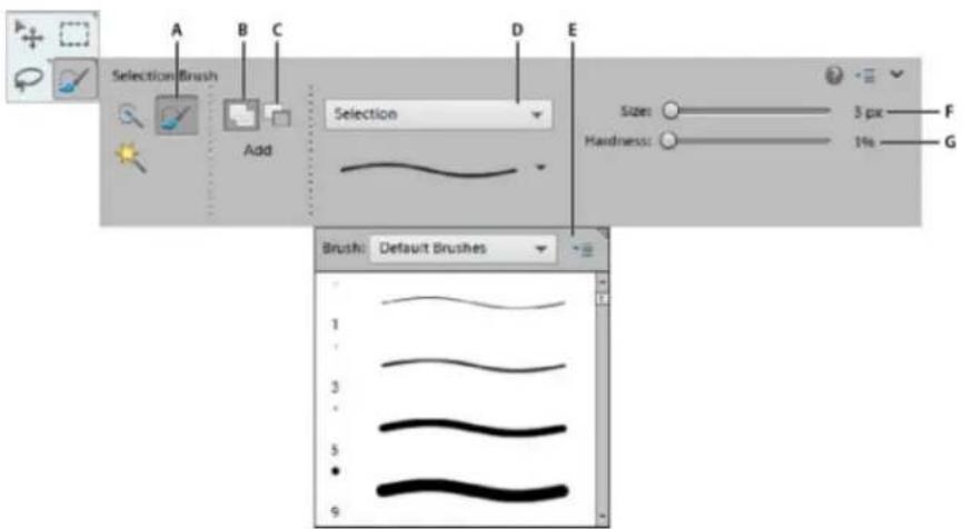 ADOBE Photoshop Elements 12 - Use the Selection Brush tool - 1