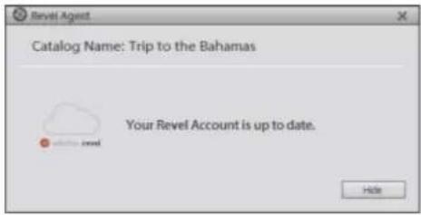 ADOBE Elements Organizer 12 - Manage the Revel agent from the system tray - 1