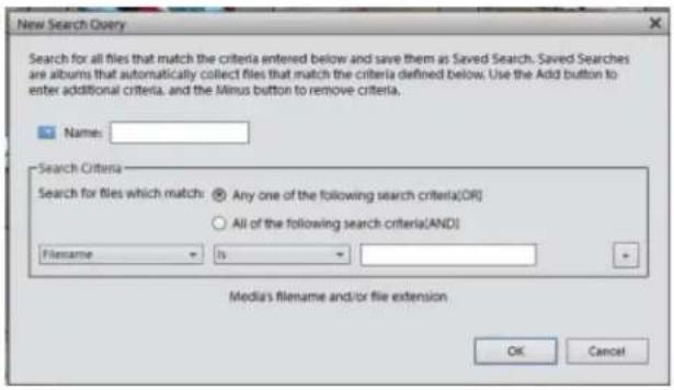ADOBE Elements Organizer 12 - Create a Saved Search - 3