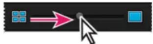 ADOBE Elements Organizer 12 - Resize, refresh, or hide media thumbnails using Zoom bar - 1