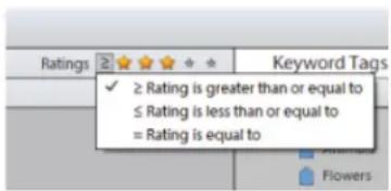 ADOBE Elements Organizer 12 - Find items with star ratings attached - 1