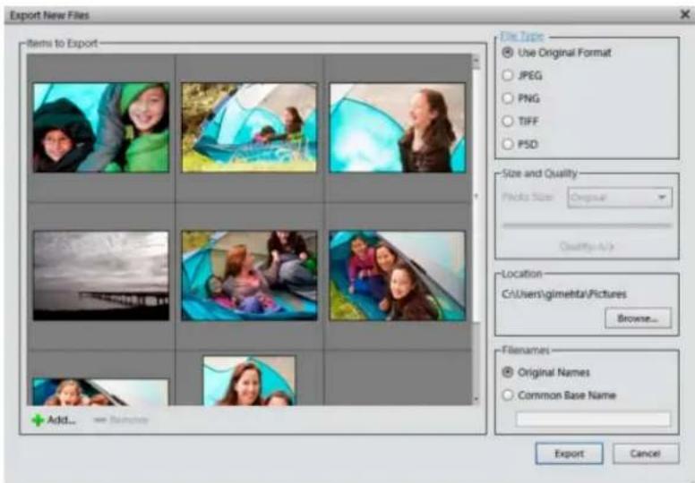 ADOBE Elements Organizer 12 - Export photos to a folder - 1