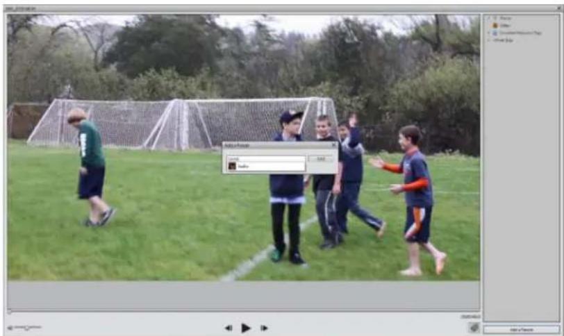 ADOBE Elements Organizer 12 - Mark missing faces in videos - 1