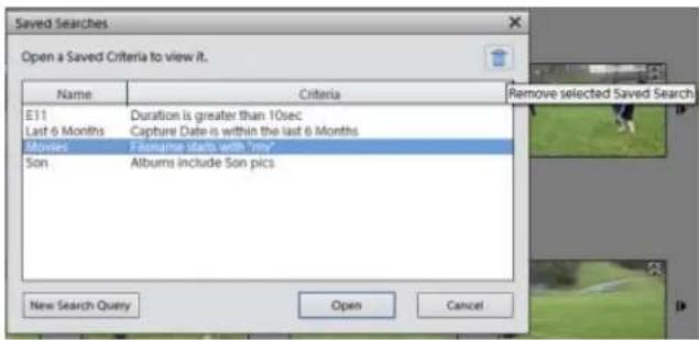 ADOBE Elements Organizer 12 - Remove a Saved Search - 1