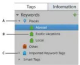ADOBE Elements Organizer 12 - Using the Keyword Tags panel - 1