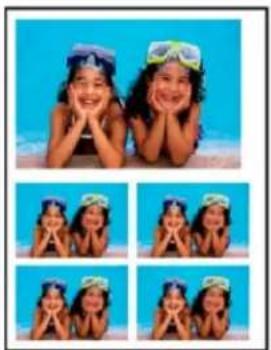 ADOBE Elements Organizer 12 - Print photos at home - 4