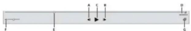 ADOBE Elements Organizer 12 - View video files - 1