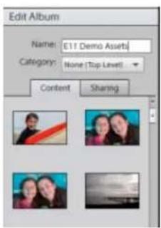 ADOBE Elements Organizer 12 - Editing an album - 1