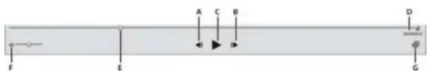 ADOBE Elements Organizer 12 - View video files - 1