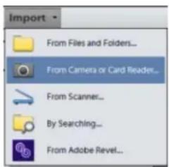 ADOBE Elements Organizer 12 - Get media files from a digital camera or card reader - 2