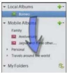 ADOBE Elements Organizer 12 - Access your media anywhere using Adobe Revel - 1