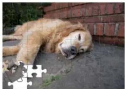 ADOBE Elements Organizer 12 - Puzzle Effect Guided Edit - 2