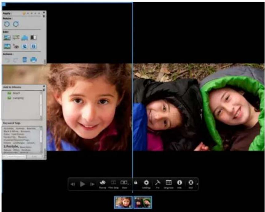 ADOBE Elements Organizer 12 - Control bar - 1
