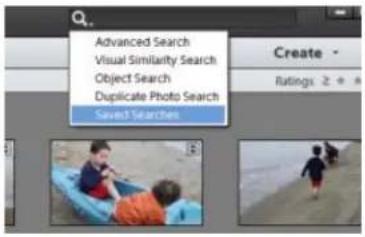 ADOBE Elements Organizer 12 - Create a Saved Search - 1
