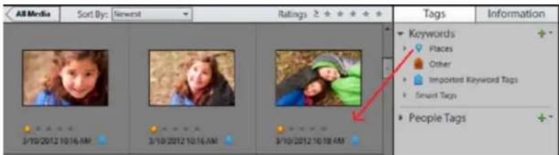 ADOBE Elements Organizer 12 - Attach keyword tags to media files - 1