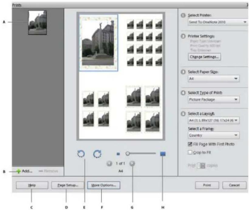 ADOBE Elements Organizer 12 - Print photos at home - 1