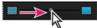 ADOBE Elements Organizer 12 - Resize, refresh, or hide media thumbnails using Zoom bar - 1