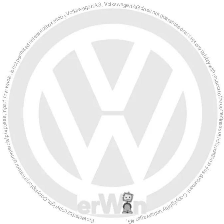 VOLKSWAGEN Golf Variant (2007) - 9 x 18 - 3