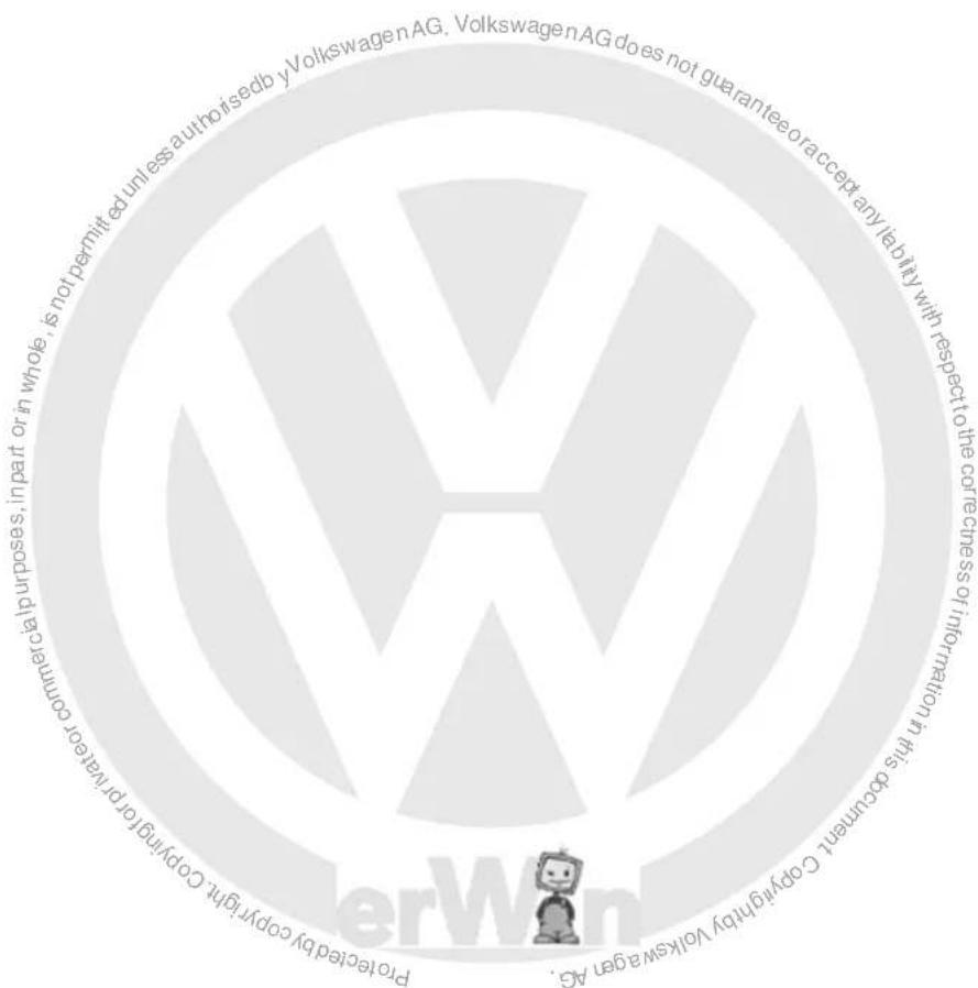 VOLKSWAGEN Golf Variant (2007) - Winter tyres for Touareg R50 model year 2008 to model year 2010 - 1