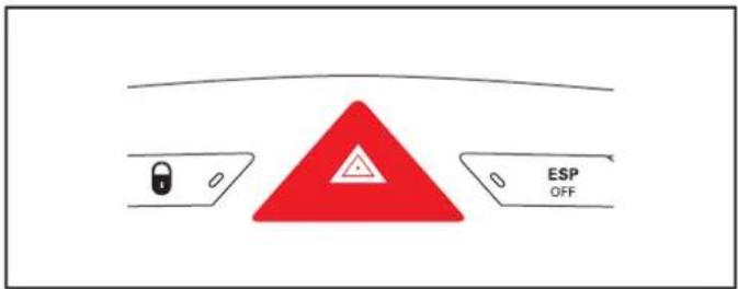 PEUGEOT RCZ (2011) - SIGNAL DE DÉTRESSE - 1
