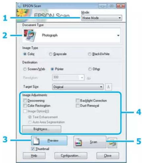 EPSON XP-615 Expression Premium - Numérisation d'une photo - 1