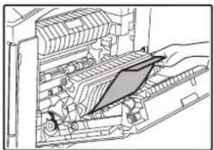SHARP MX-C300W - Remove the misfed paper. - 1