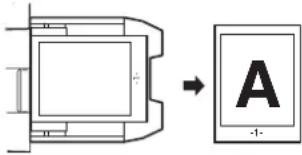 SHARP MX-C300W - Bypass tray - 8