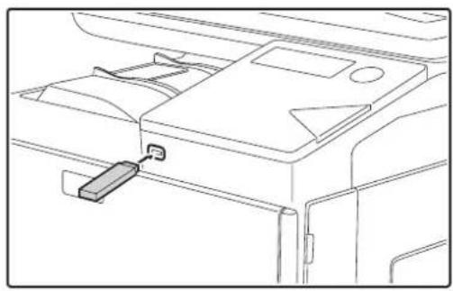 SHARP MX-C300W - Connect the USB memory device to the machine. - 1
