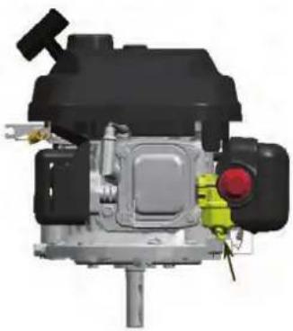 GUDE 460 P Big Wheeler - VIDAGE DU RÉSERVOIR D'ESSENCE ET DU CARBURATEUR - 1