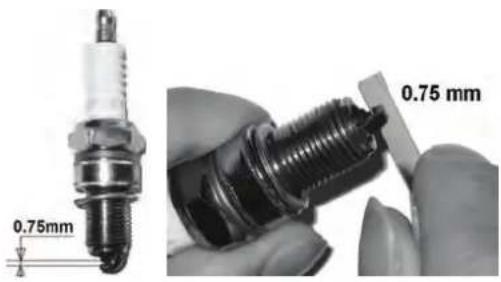 GUDE 460 P Big Wheeler - CAMBIO DELL'OLIO - 2