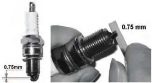 GUDE 460 P Big Wheeler - Bougie d'allumage - 1
