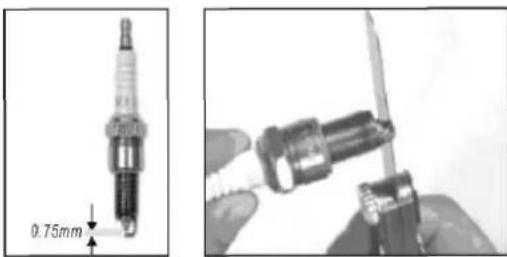 GUDE 560 Trike Big Wheeler - Spark plug - 1