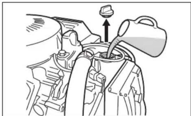 SUZUKI DF100A - To fill the engine oil: - 1