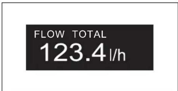 FLOW TOTAL 123.4 l/h
