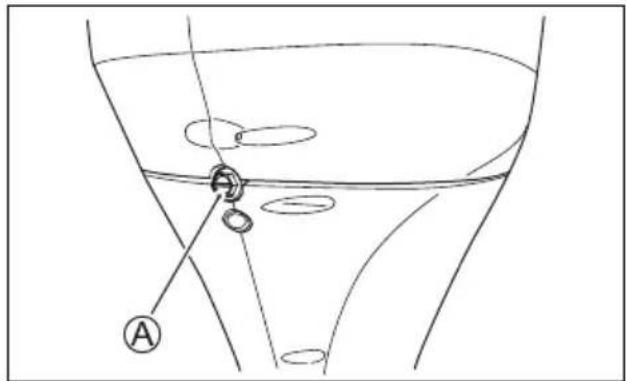 Diagram of a funnel with labeled points A and a central circular feature, likely illustrating a geometric or anatomical concept.
