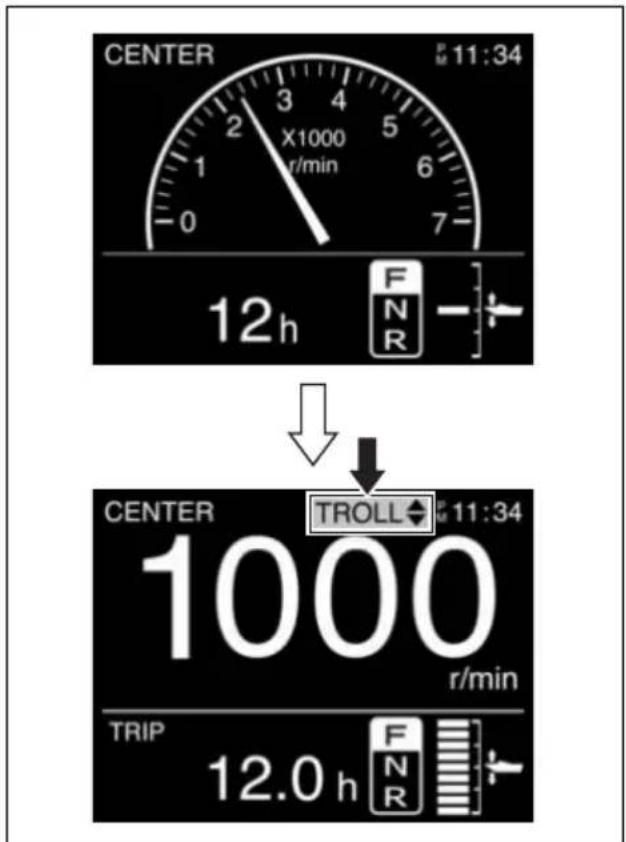 CENTER 11:34 X1000 r/min 12h F N R ↓ CENTER TROLL 11:34 1000 r/min TRIP 12.0 h F N R