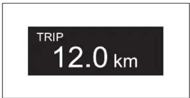 TRIP 12.0 km