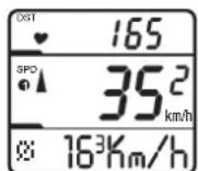 Ciclo CicloMaster CM 8.2 - Pour remettre les valeurs du jour à zéro, appuyez les touches droite et gauche en même temps pour 3sec. L'affichage « reset » apparaît sur l'écran - 2