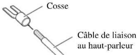 PIONEER GM-5000T - Fixez une cosse à l'extrémité de chaque câble de haut-parleur. Les cosses ne sont pas fournies. - 1