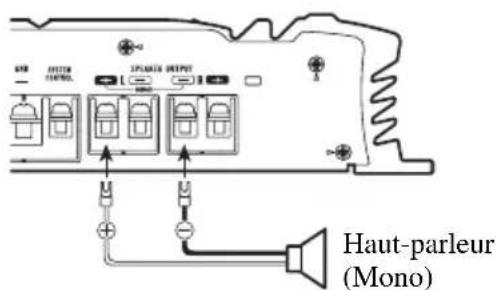 PIONEER GM-5000T - Connexion des câbles des haut-parleurs - 2