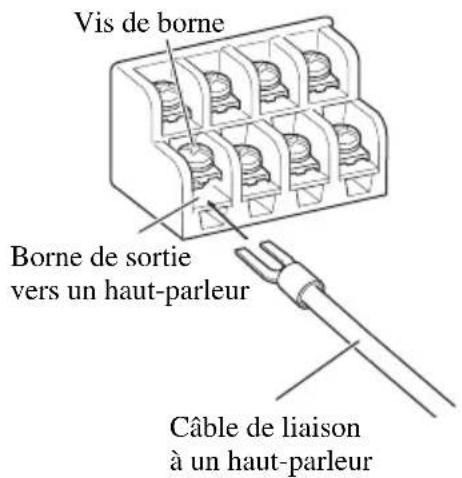 PIONEER GM-6000F - Raccordement des bornes de sortie vers les haut-parleurs - 3
