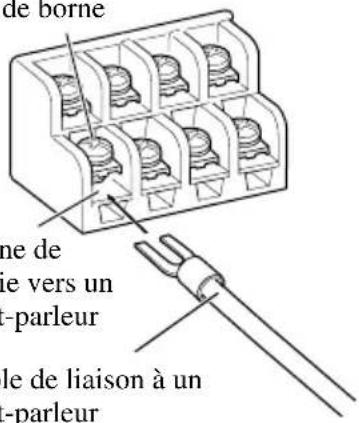 PIONEER GM-D515 - Raccordement des bornes de sortie vers les haut-parleurs - 3