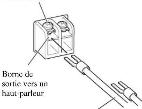 PIONEER GM-D515 - Raccordement des bornes de sortie vers les haut-parleurs - 4