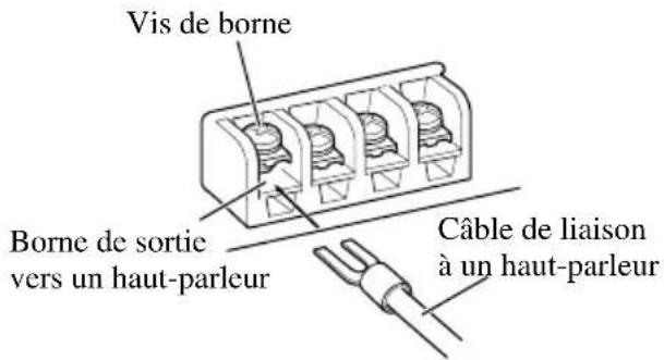 PIONEER PRS-A700 - Raccordement des bornes de sortie vers les haut-parleurs - 3