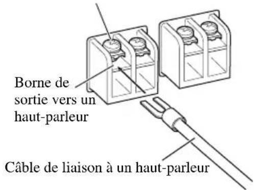 PIONEER PRS-D1100M - Raccordement des bornes de sortie vers les haut-parleurs - 3