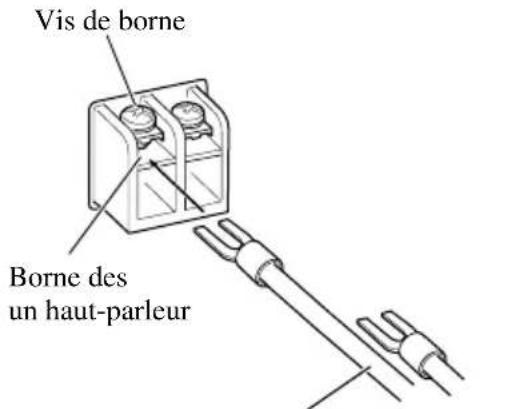 PIONEER PRS-D3000SPL - Raccordement des bornes des haut-parleurs - 3