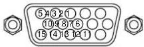 PIONEER PDP-42MVE1 - Conector mini D-Sub 15-pin (Analogico) - 1