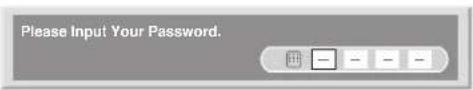 PIONEER PDP-507XG - Entering a password - 1