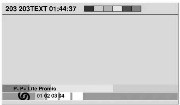 PIONEER PDP-R04G - Displaying subpages - 1